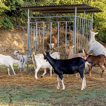 Cascina Trevo